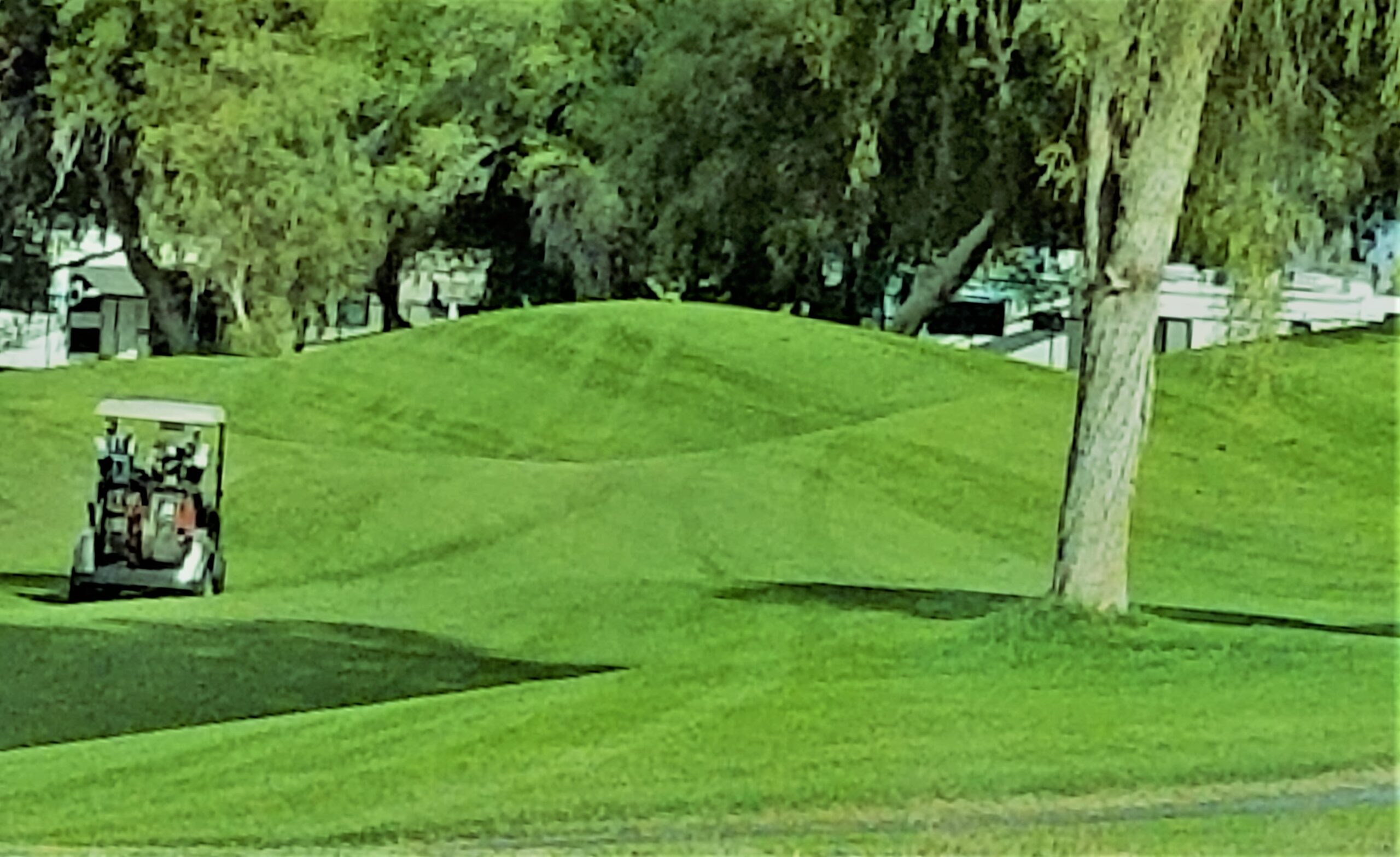 golf-golf-cart-2022-11-08-03-12-34-utc