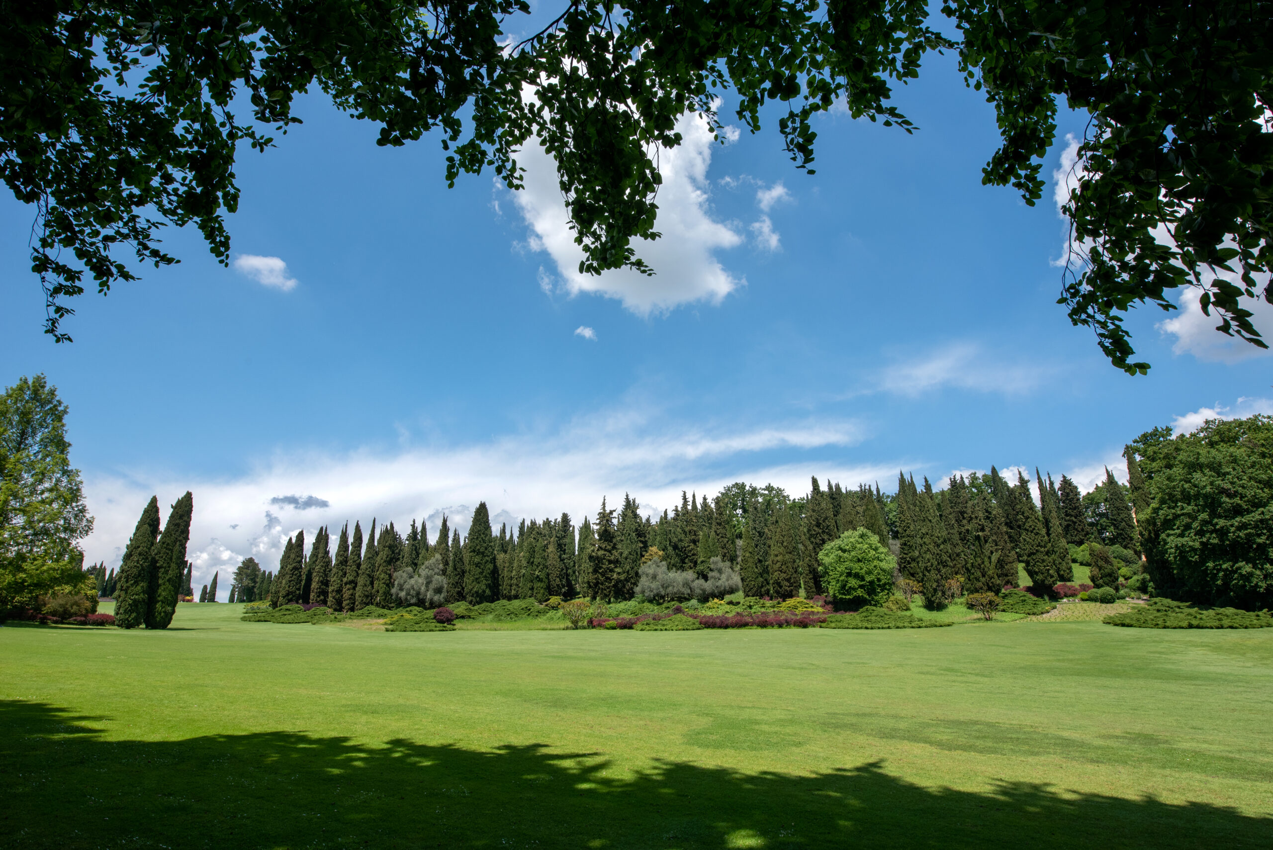 Large open garden with evergreen Cypress trees viewed over a neat manicured lawn of green grass under a sunny blue sky with clouds in a scenic landscape